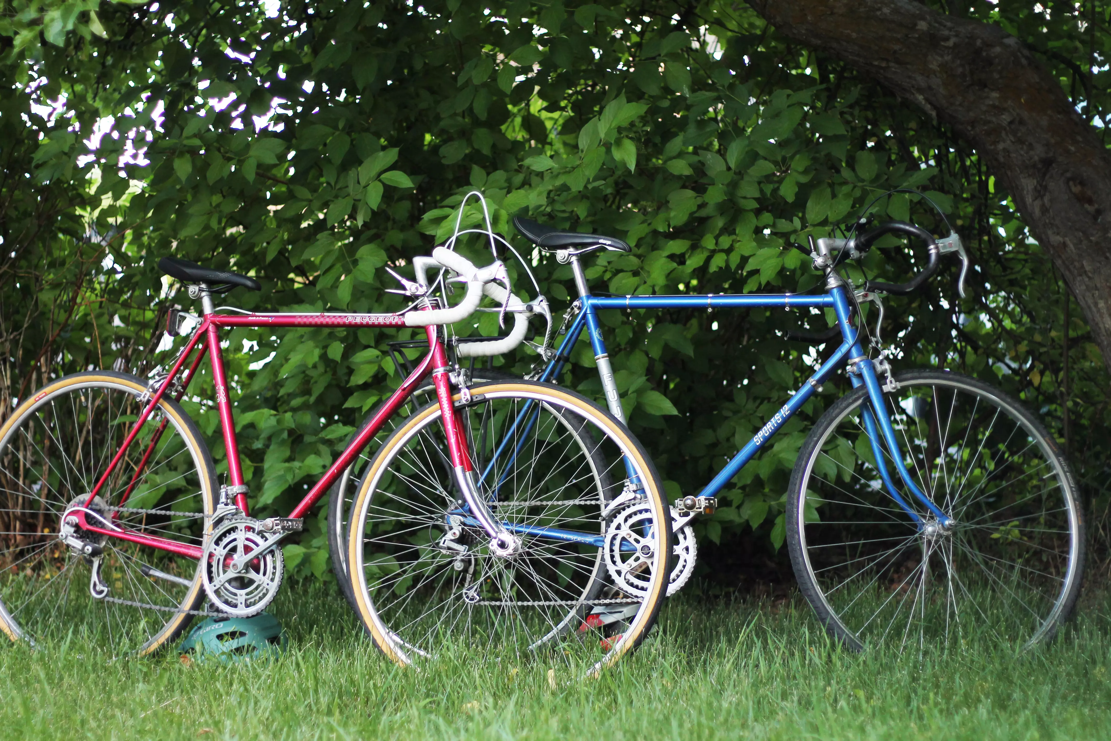Two classic road bikes on grass